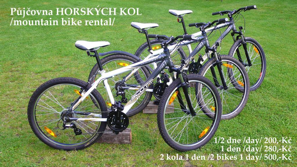 Penzion Fousek Zvíkovské Podhradí Εξωτερικό φωτογραφία
